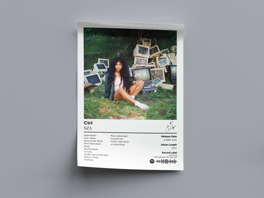 Ctrl Digital Poster - PostrlyAu