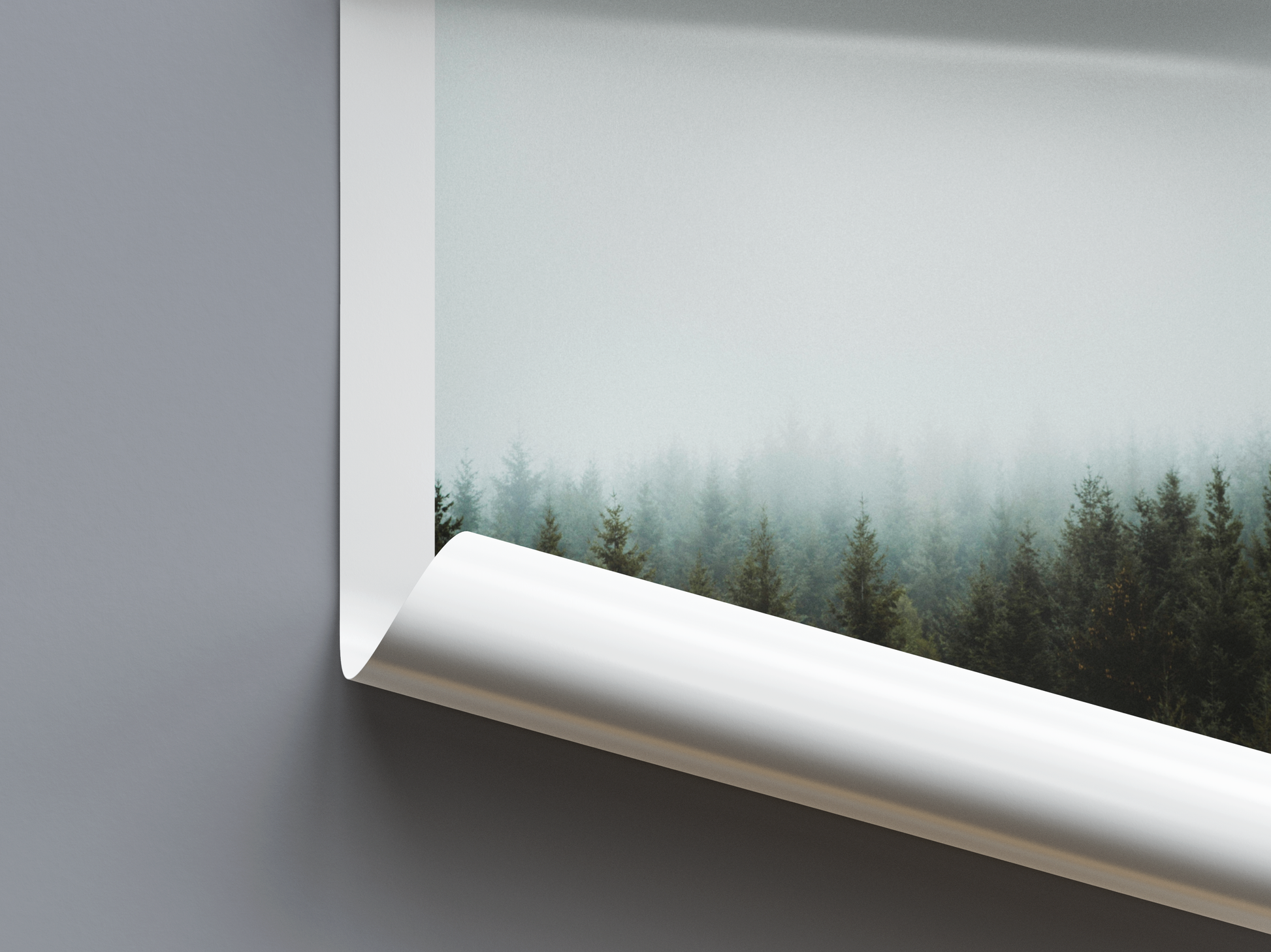 Silent Woods - Digital Poster - PostrlyAu