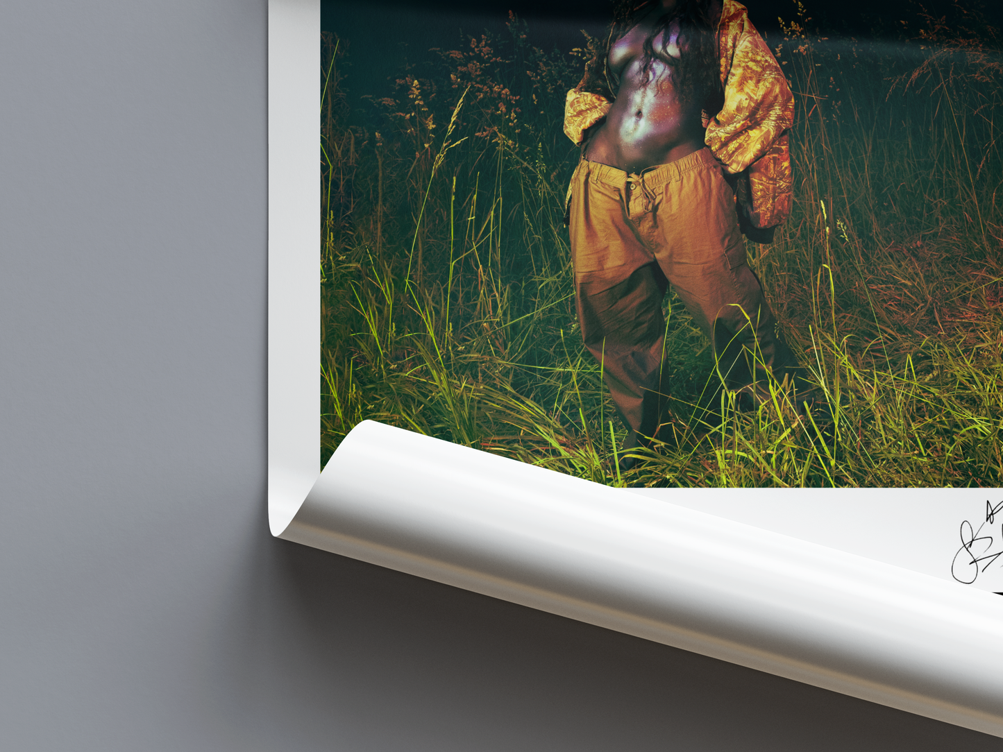 SOS Deluxe LANA Digital Poster - PostrlyAu