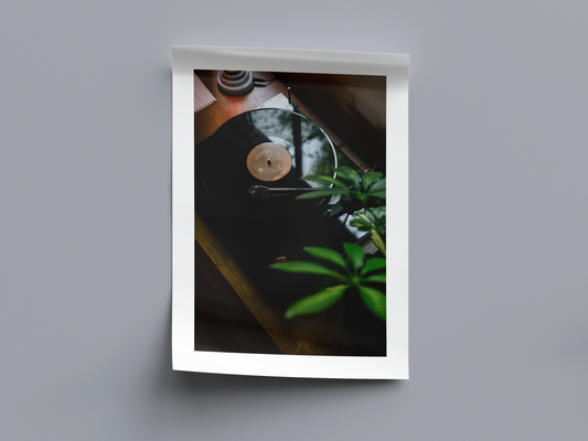 Vinyl Vibes - Digital Poster