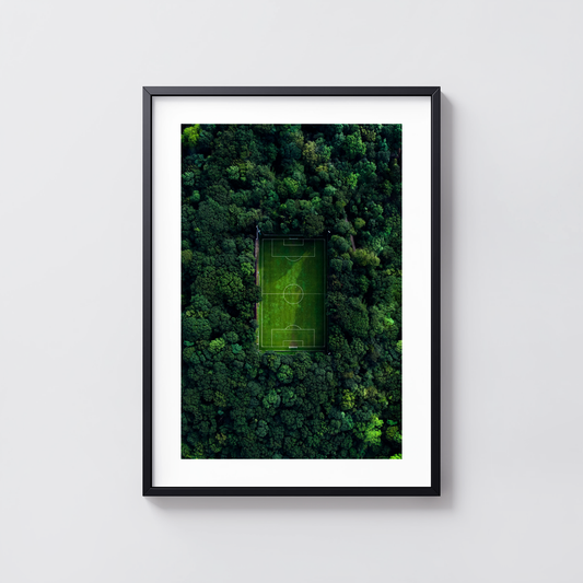 Silent Field