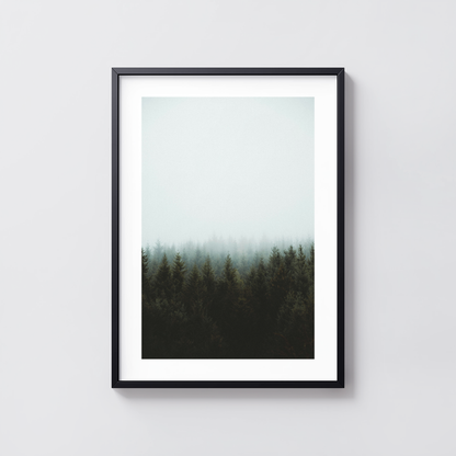 Silent Pines