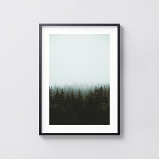 Silent Pines
